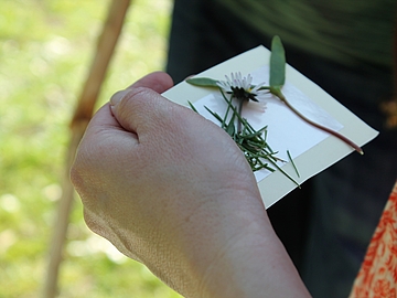 Foto von einer Hand, die gesammelte Naturmaterialien hält. 